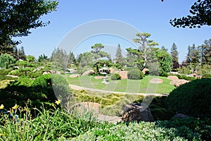 Beautiful view of Japanese Garden