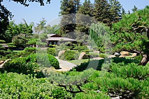 Beautiful view of Japanese Garden