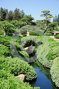 Beautiful view of Japanese Garden