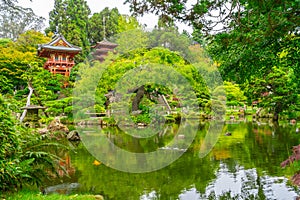 Beautiful view of Japanese Tea Garden in Golden Gate Park