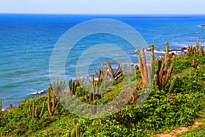 Beautiful view of Jericoacoara in Brazil