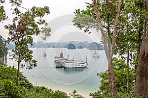 A beautiful view of junk boats in Ha Long Bay through trees