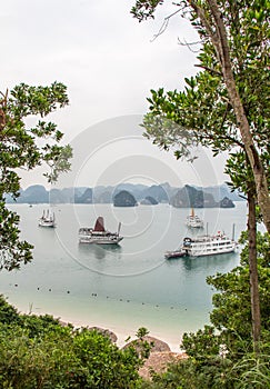 A beautiful view of junk boats in Ha Long Bay through trees