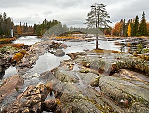 Beautiful view of Kiiminkijoki river surrounded by foliage in fall colors, Finland