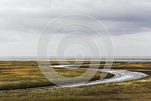 Beautiful view on the kwelders on the north east coast of Texel, one of the wadden islands in the Netherlands