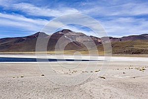 A beautiful view of laguna altiplanica photo