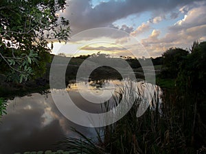 Beautiful view of the lake at dusk, with lots of vegetation around and blue sky, located in a rural area.