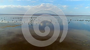 Beautiful view of a lake and a flock of birds in it