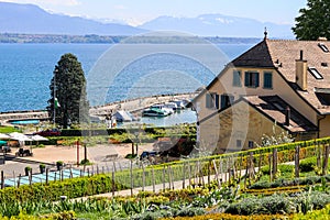 Beautiful view at lake Geneva or Lac Leman and Alp mountains through the garden on hill of Nyon