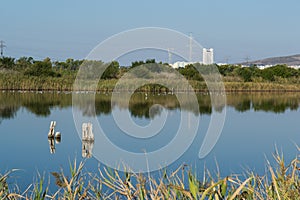 Beautiful view of the lake in a nature conservation center