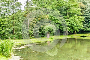 Beautiful view of a lake with reflections in the water surrounded by lush greenery