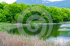 Beautiful view on lake in summer in Crimea photo