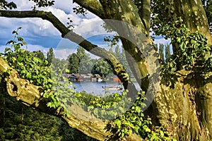 A beautiful view by the lake on a summer evening. Image taken through tree branches. Also a vintage effect is applied to the image