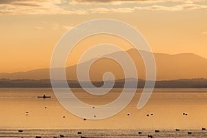 Beautiful view of a lake at sunset, with orange tones, birds on water and a man on a canoe