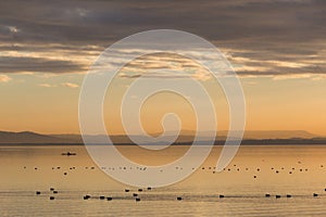 Beautiful view of a lake at sunset, with orange tones, birds on water and a man on a canoe