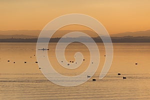 Beautiful view of a lake at sunset, with orange tones, birds on water and a man on a canoe