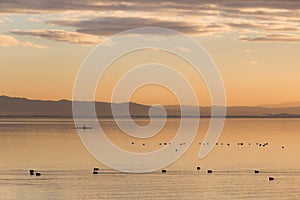 Beautiful view of a lake at sunset, with orange tones, birds on water and a man on a canoe