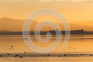 Beautiful view of Trasimeno lake Umbria, Italy at sunset, with orange tones, birds on water, a man on a canoe and