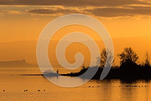 Beautiful view of a lake at sunset, with orange tones, birds on water and trees