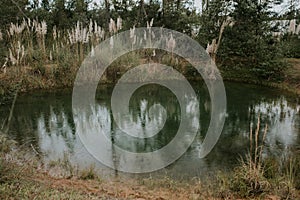 Beautiful view of a lake surrounded by greenery during the rain