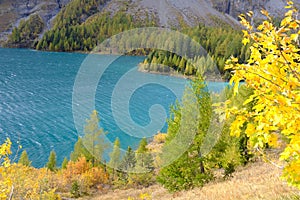 Beautiful view of lake Tseuzier surrounded by colorful fall trees in Valais, Switzerland