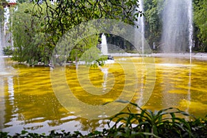 Beautiful view of lake with yellowish water surrounded by trees