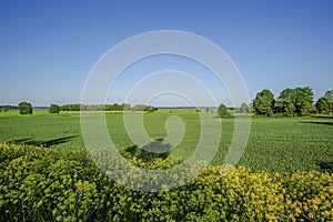 Beautiful view of landscape with green fields, green forest trees and blue sky.