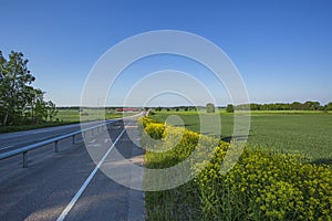 Beautiful view of landscape with green fields, highway road, green forest trees and blue sky.