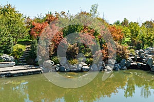 Beautiful view of large lake Oike in Japanese garden. Public landscape park of Krasnodar