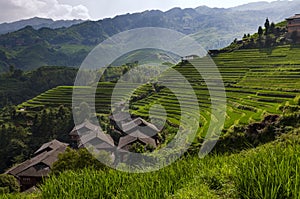 Beautiful view Longsheng Rice Terraces near the of the Dazhai village in the province of Guangxi, China