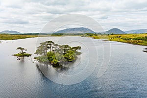 Beautiful view of Lough Bofin lake in Connemara region in Ireland. Scenic Irish countryside landscape with mountains on the