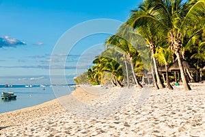 Beautiful view of the luxury beach in Mauritius. Transparent ocean, white sand beach, palms and sky