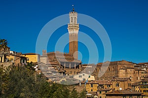 Beautiful view of Mangia tower in the historic center of Siena, Tuscany