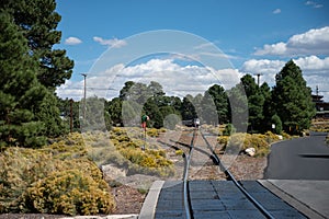 Beautiful view of metal train tracks through the forest on daytime