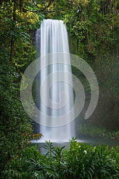 Beautiful view of Millaa Millaa Falls cascading down, Atherton Tablelands of North Queensland photo