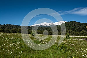 Beautiful view of Mocho volcano country landscape in Choshuenco photo