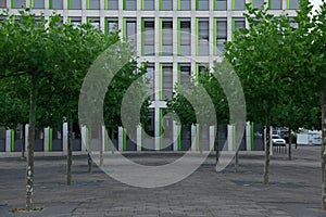 Beautiful view of modern building with big windows and trees outdoors