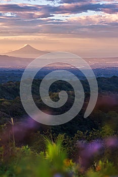 Beautiful view of the momotombo volcano on lake Managua in Nicaragua at sunset with purple flowers out of focus in the foreground photo