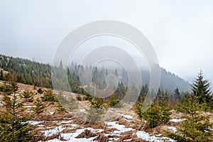 Beautiful view with morning fog in early spring, in Carpathian mountains, in Transylvania, Romania photo