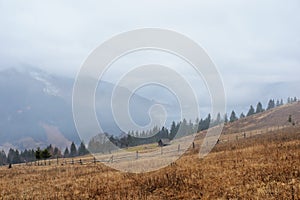 Beautiful view with morning fog in early spring, in Carpathian mountains, in Transylvania, Romania photo