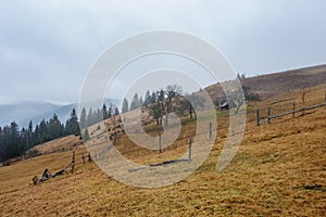 Beautiful view with morning fog in early spring, in Carpathian mountains, in Transylvania, Romania photo
