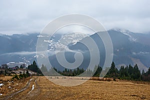 Beautiful view with morning fog in early spring, in Carpathian mountains, in Transylvania, Romania photo
