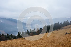 Beautiful view with morning fog in early spring, in Carpathian mountains, in Transylvania, Romania photo