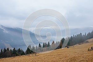 Beautiful view with morning fog in early spring, in Carpathian mountains, in Transylvania, Romania photo