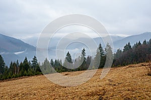 Beautiful view with morning fog in early spring, in Carpathian mountains, in Transylvania, Romania photo