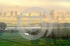 Beautiful view of morning light hitting fog,mountains, trees and green rice fields in the countryside in Chiang Rai.