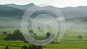 Beautiful view of morning light hitting mountains, green rice fields, trees, and mist in the countryside in Chiang Rai, Thailand
