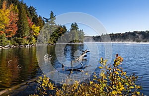 Morning Mist Over a Lake in Autumn in Algonquin Park