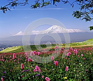 Beautiful view of Mount Ararat