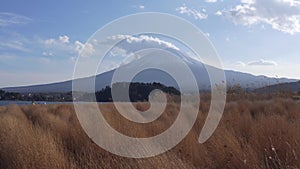 Beautiful view of Mount Fuji and field at Lake Kawaguchiko in autumn, This mountain is an famous symbolic of Japan